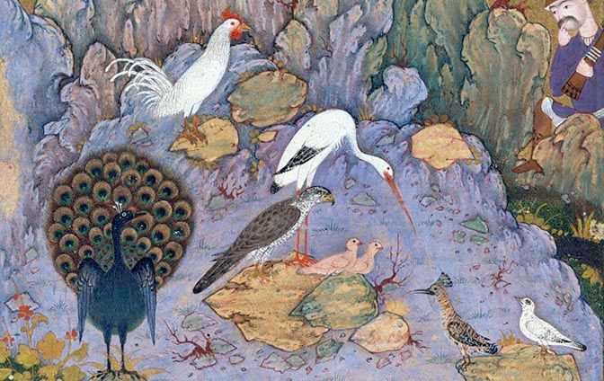 An illustration on a folio depicts birds from a scene from a mystical poem, Mantiq al-tair 