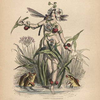 Illustration of a nude woman wrapped in flowers, fruit, and grasses, surrounded by fish and a dragonfly